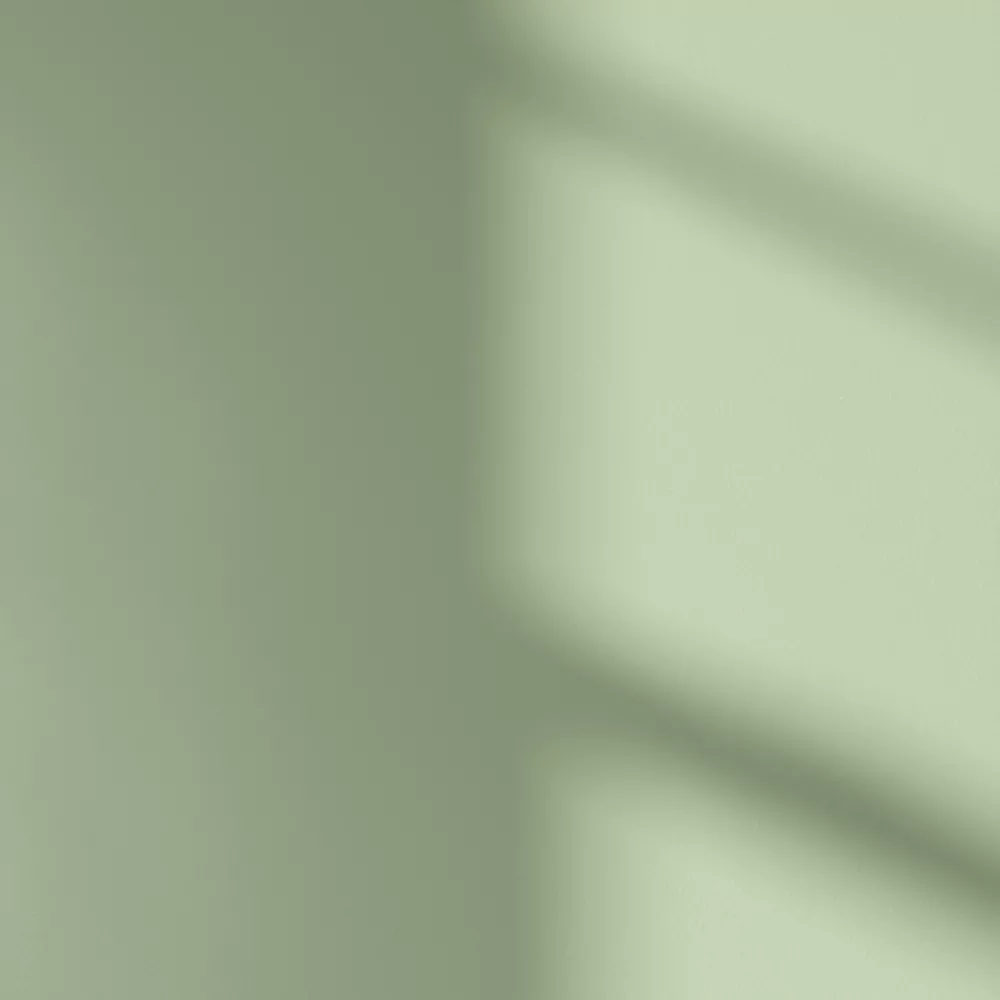 LickPro Eggshell Green 14 Emulsion Paint 5Ltr - Image 3