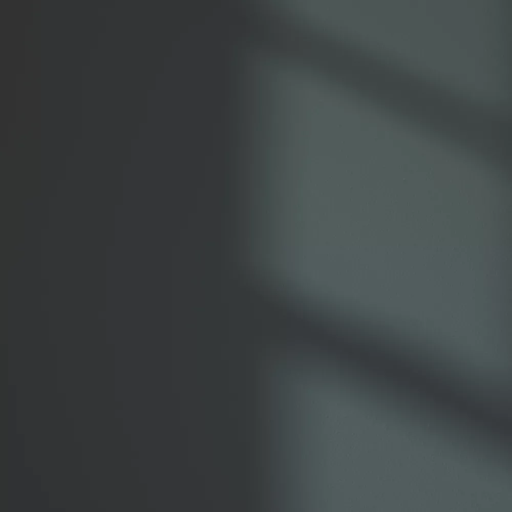 LickPro Matt Black 01 Emulsion Paint 2.5Ltr 5 LickPro Matt Black 01 Emulsion Paint 2.5Ltr - Image 3