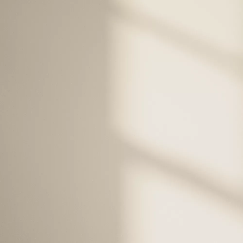 LickPro Matt Beige 03 Emulsion Paint 2.5Ltr - Image 3