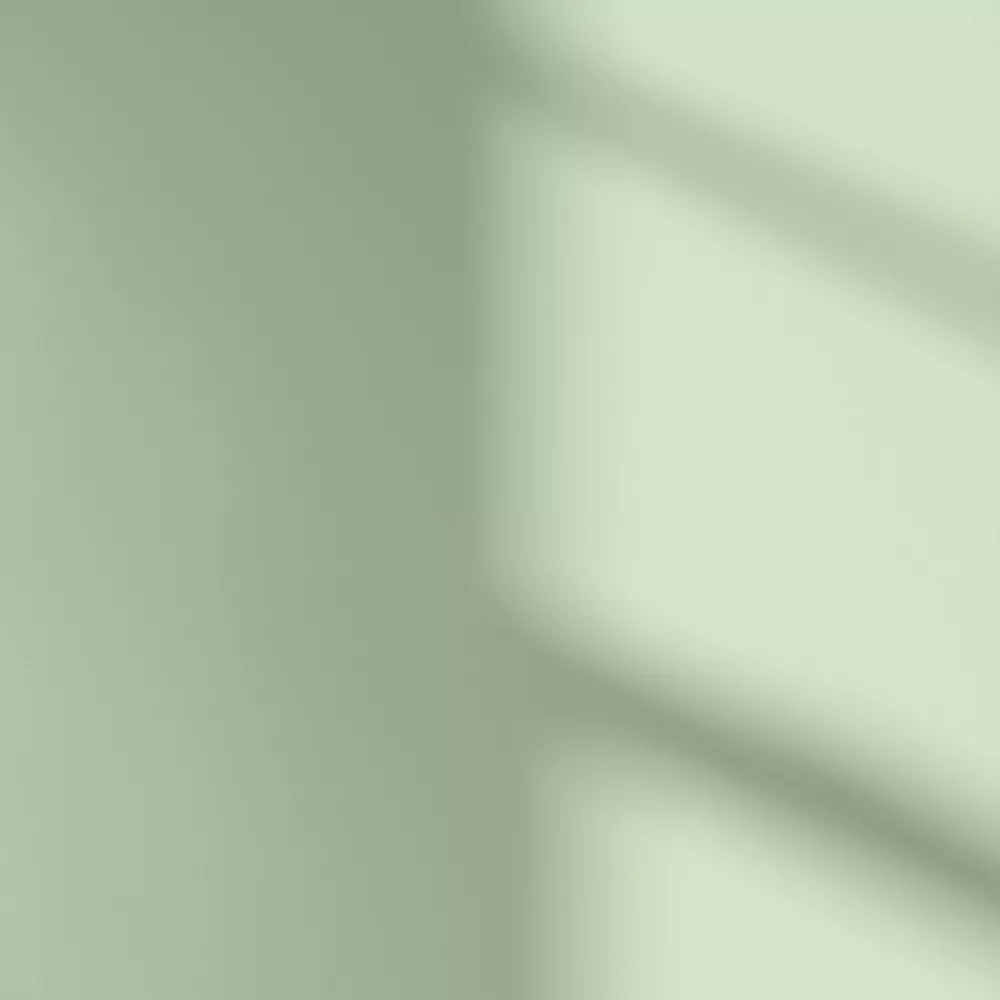 LickPro Eggshell Green 13 Emulsion Paint 5Ltr - Image 3