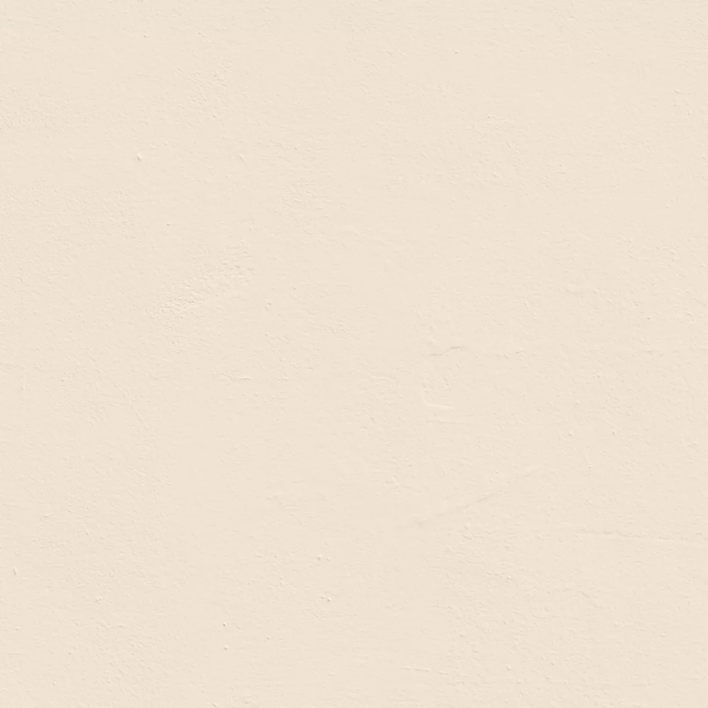 LickPro Eggshell White BS 08 B 15 Emulsion Paint 5Ltr - Image 2