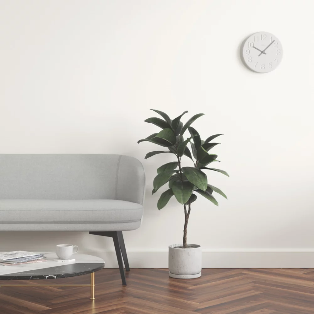 LickPro Matt White RAL 9010 Emulsion Paint 2.5Ltr - Image 6