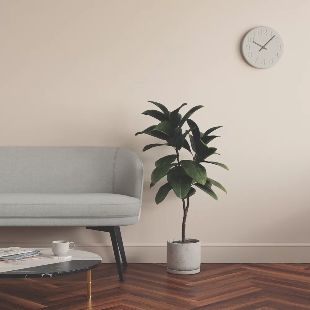 LickPro Matt Pink 01 Emulsion Paint 2.5Ltr - Image 6