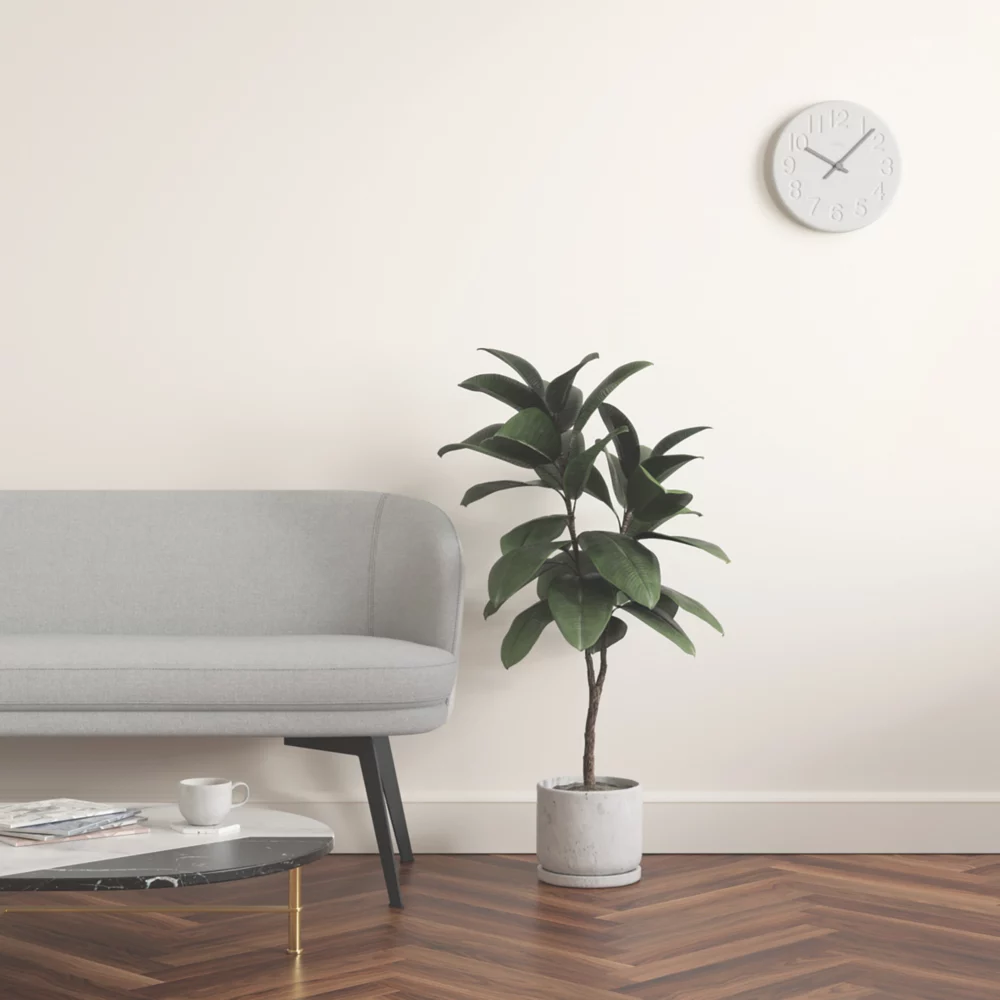 LickPro Eggshell White 06 Emulsion Paint 2.5Ltr - Image 6