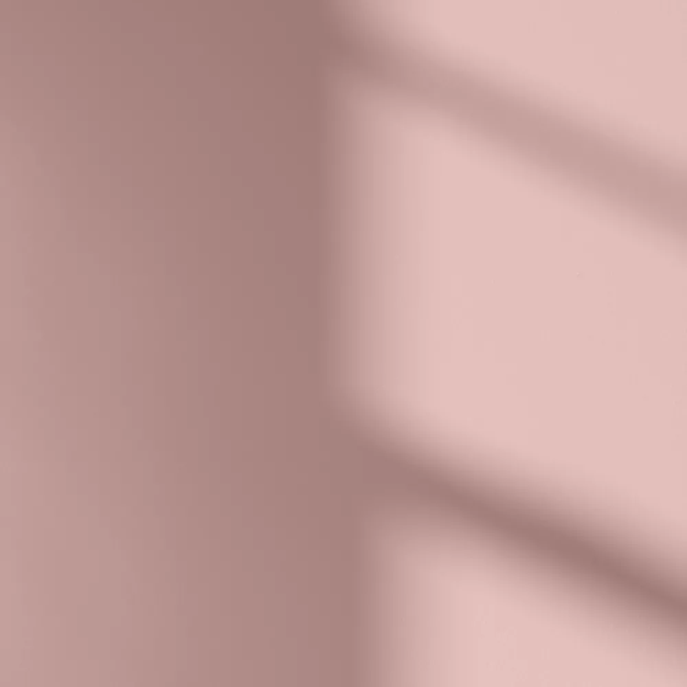 LickPro Matt Pink 09 Emulsion Paint 2.5Ltr - Image 3