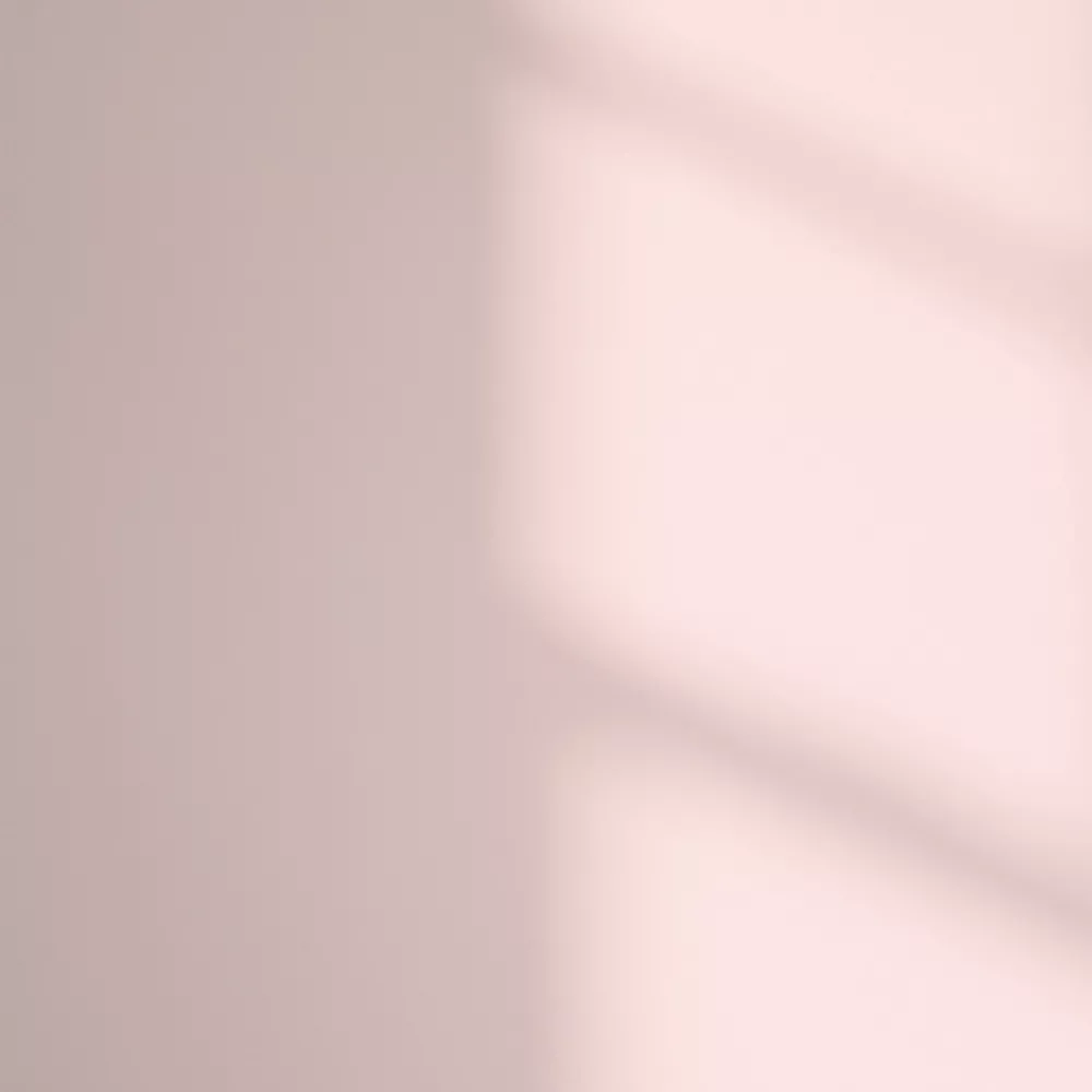 LickPro Matt Pink 04 Emulsion Paint 2.5Ltr - Image 3