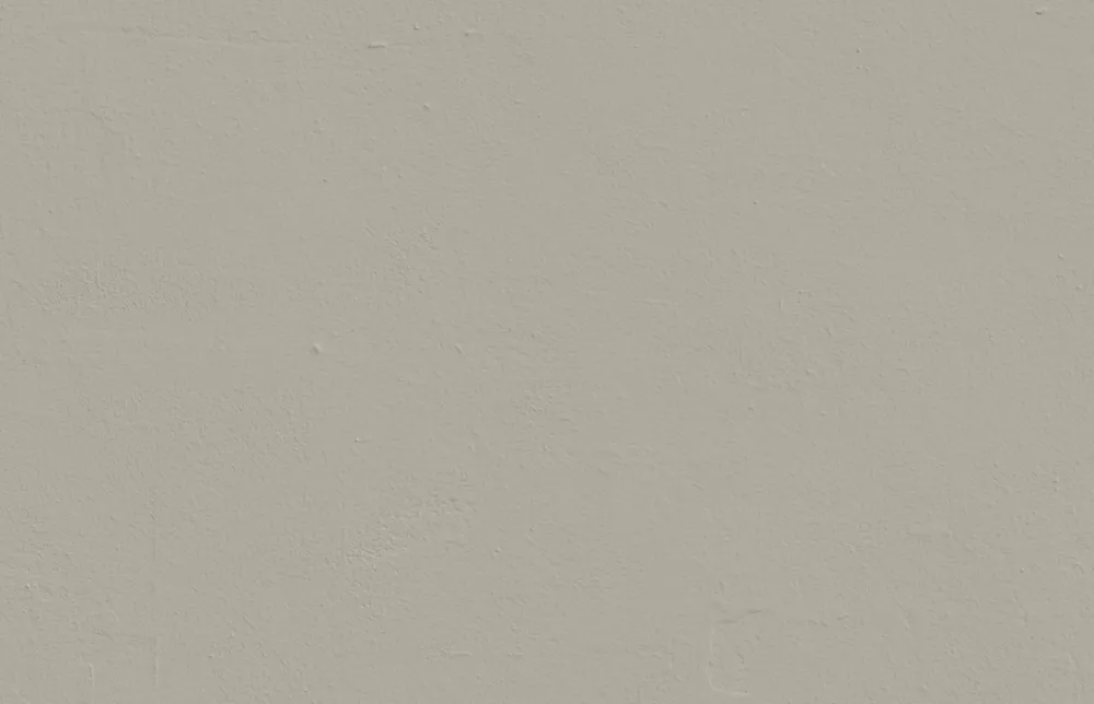LickPro Eggshell Taupe 01 Emulsion Paint 5Ltr 4 LickPro Eggshell Taupe 01 Emulsion Paint 5Ltr - Image 2
