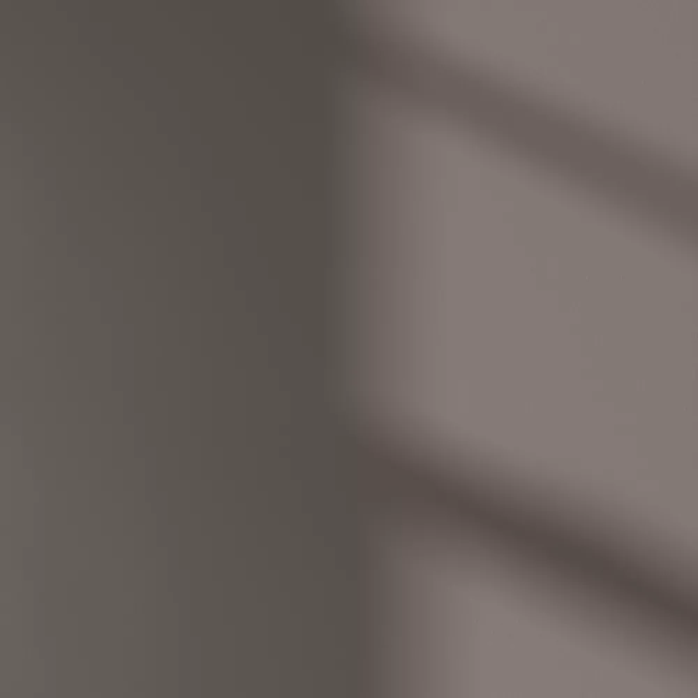 LickPro Matt Brown 03 Emulsion Paint 2.5Ltr - Image 3