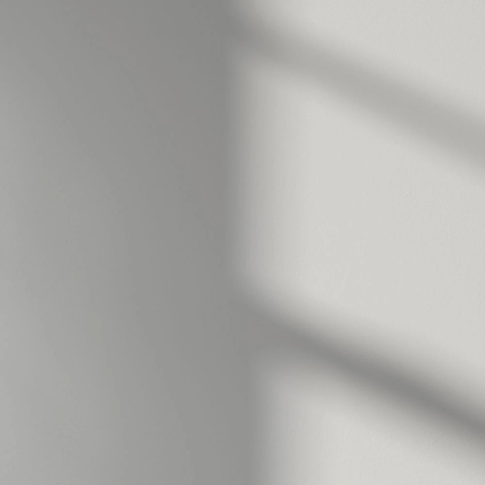 LickPro Matt Grey BS 00 A 05 Emulsion Paint 5Ltr - Image 3