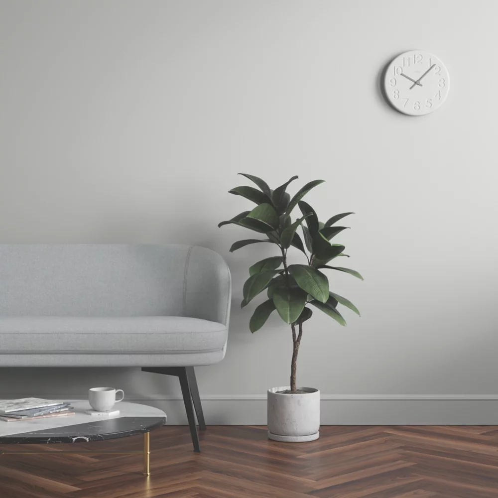 LickPro Matt Grey BS 00 A 05 Emulsion Paint 5Ltr - Image 6