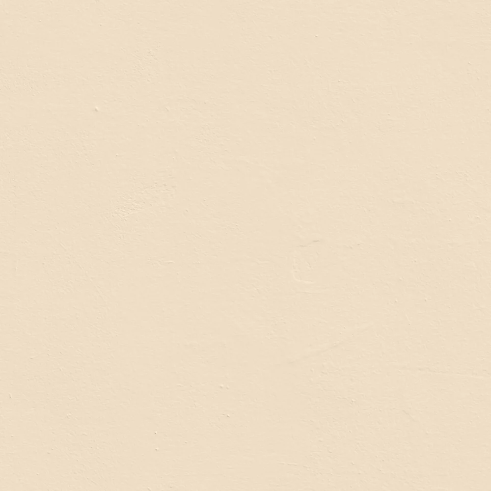 LickPro Eggshell White BS 08 C 31 Emulsion Paint 2.5Ltr - Image 2