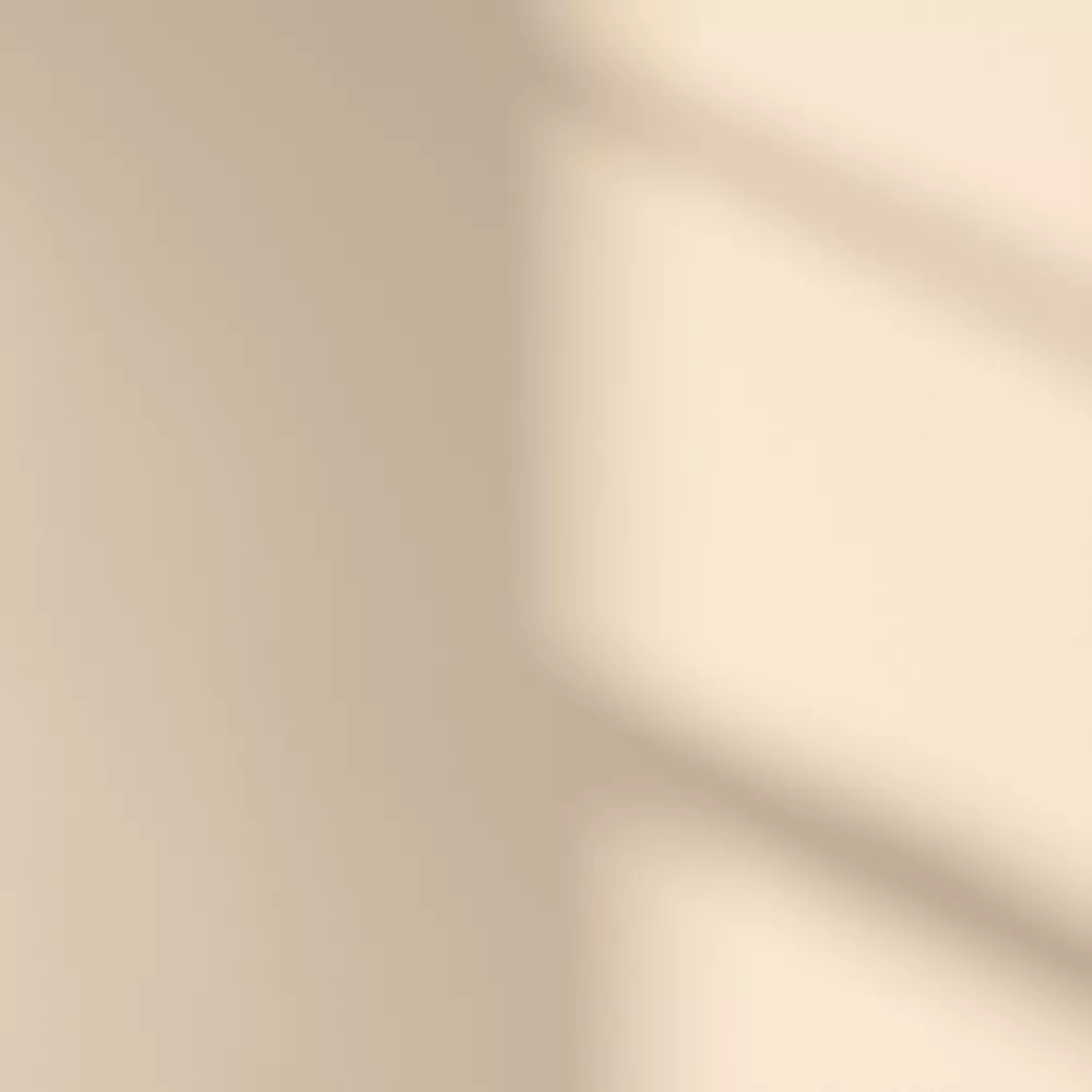 LickPro Eggshell White BS 08 C 31 Emulsion Paint 2.5Ltr - Image 3