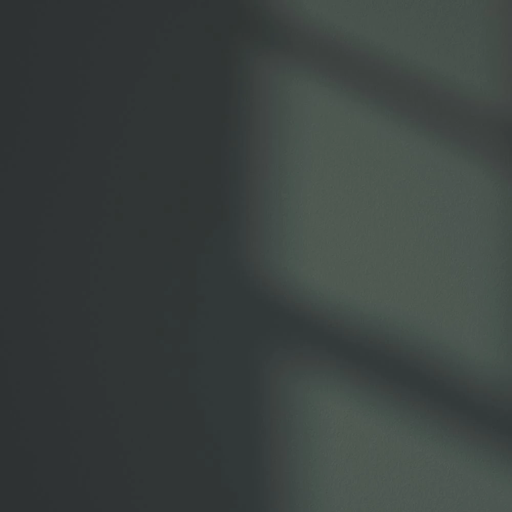 LickPro Eggshell Green 06 Emulsion Paint 2.5Ltr - Image 3