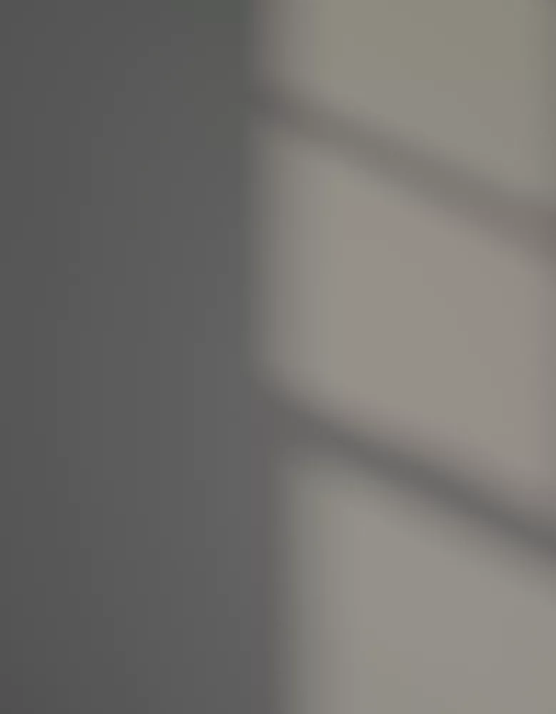 LickPro Eggshell Grey 09 Emulsion Paint 2.5Ltr - Image 3