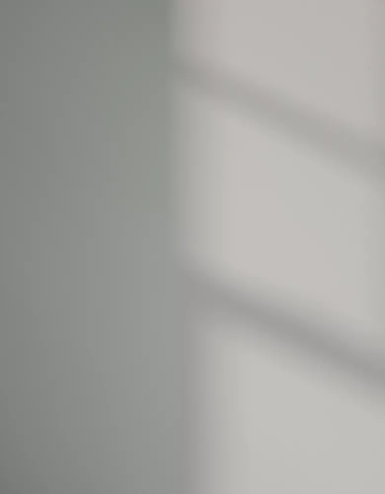 LickPro Eggshell Grey 11 Emulsion Paint 2.5Ltr - Image 3