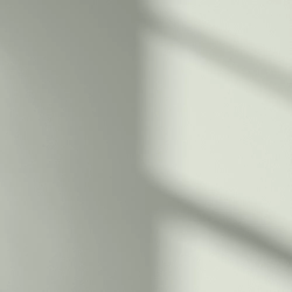 LickPro Matt Green 09 Emulsion Paint 2.5Ltr - Image 3