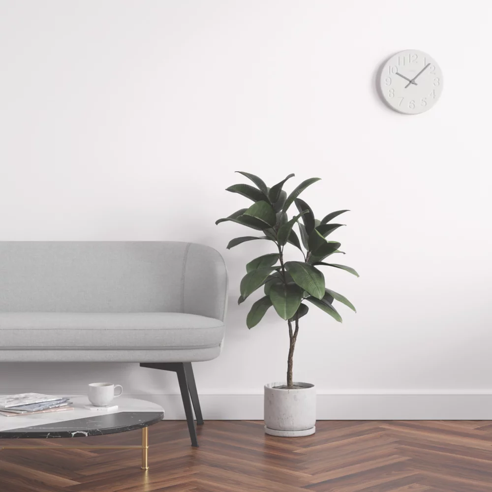 LickPro Matt Purple 05 Emulsion Paint 2.5Ltr - Image 6