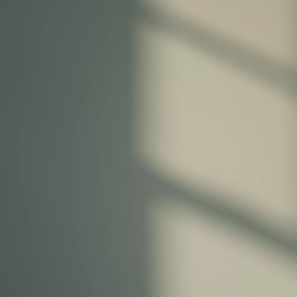 LickPro Eggshell Green 02 Emulsion Paint 2.5Ltr - Image 3