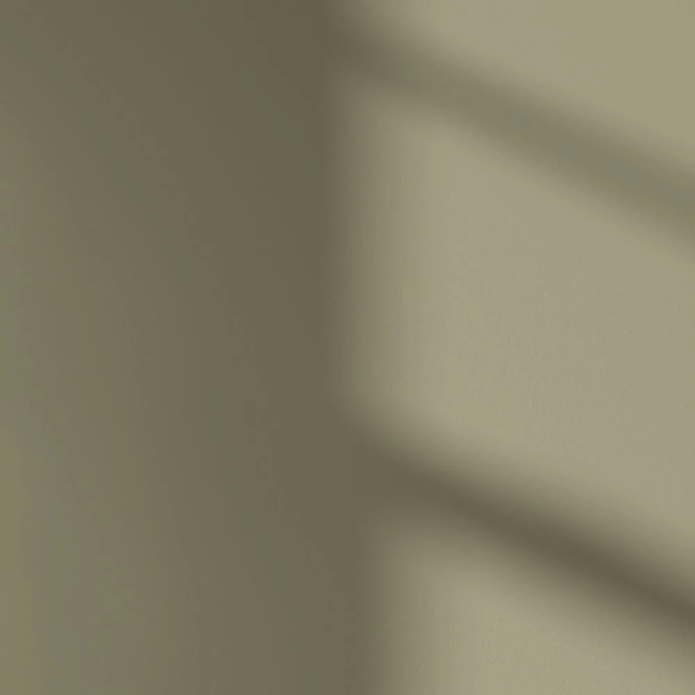 LickPro Matt Green 19 Emulsion Paint 2.5Ltr - Image 3