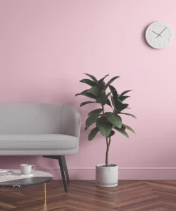 LickPro Eggshell Pink 11 Emulsion Paint 2.5Ltr 13 LickPro Eggshell Pink 11 Emulsion Paint 2.5Ltr -Lick Sales Shop 718JY A5