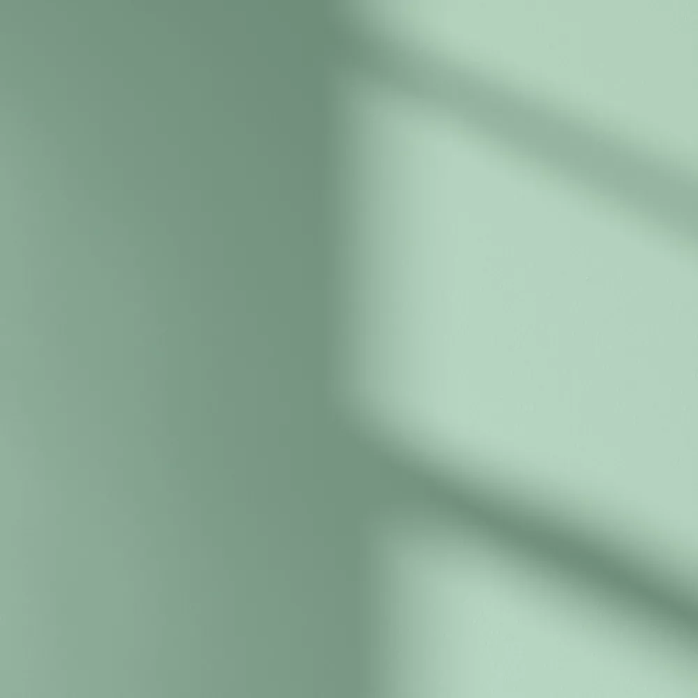 LickPro Matt Green 15 Emulsion Paint 2.5Ltr - Image 3