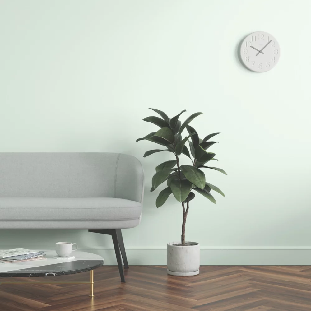 LickPro Matt Green 11 Emulsion Paint 2.5Ltr - Image 6