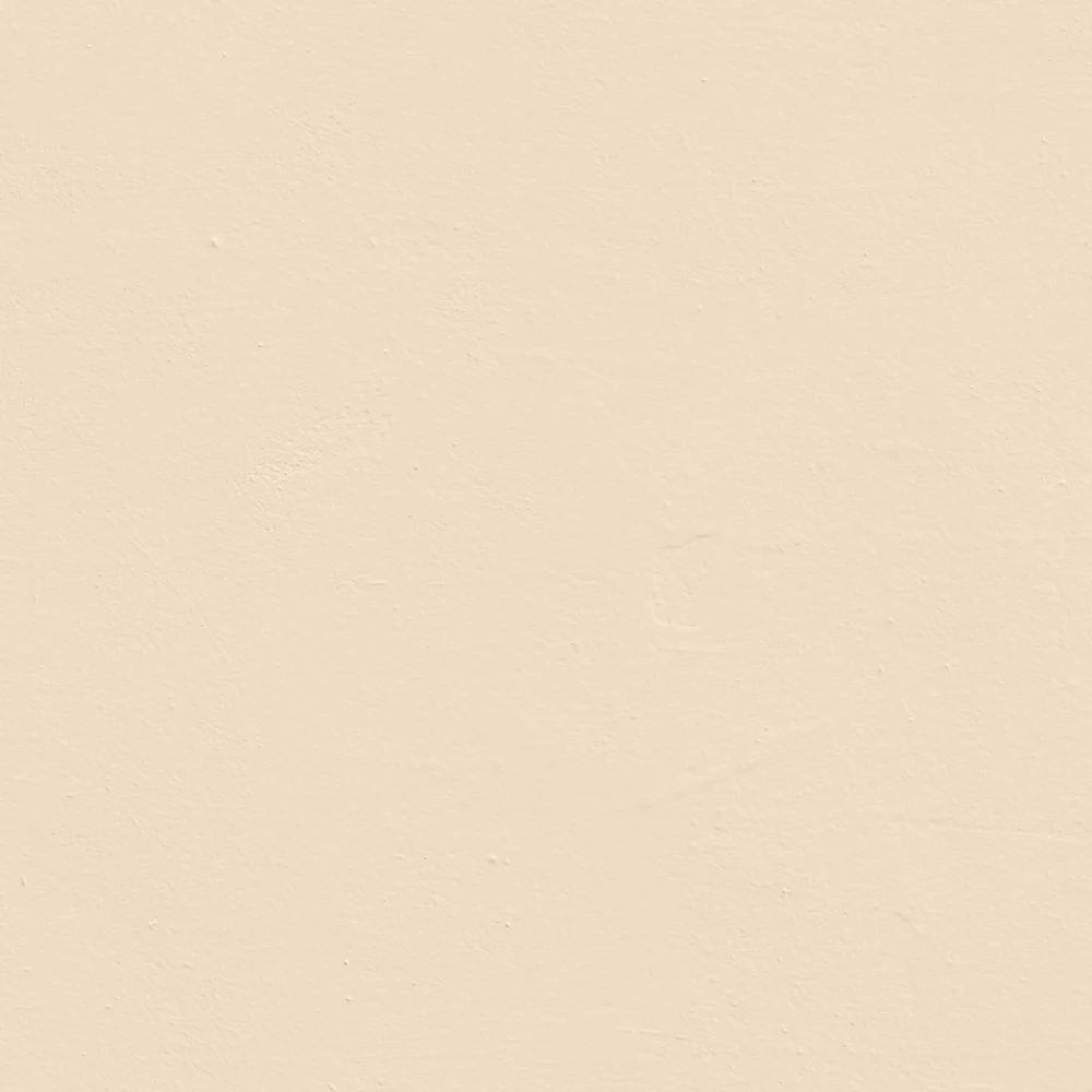 LickPro Matt White BS 08 C 31 Emulsion Paint 2.5Ltr 4 LickPro Matt White BS 08 C 31 Emulsion Paint 2.5Ltr - Image 2