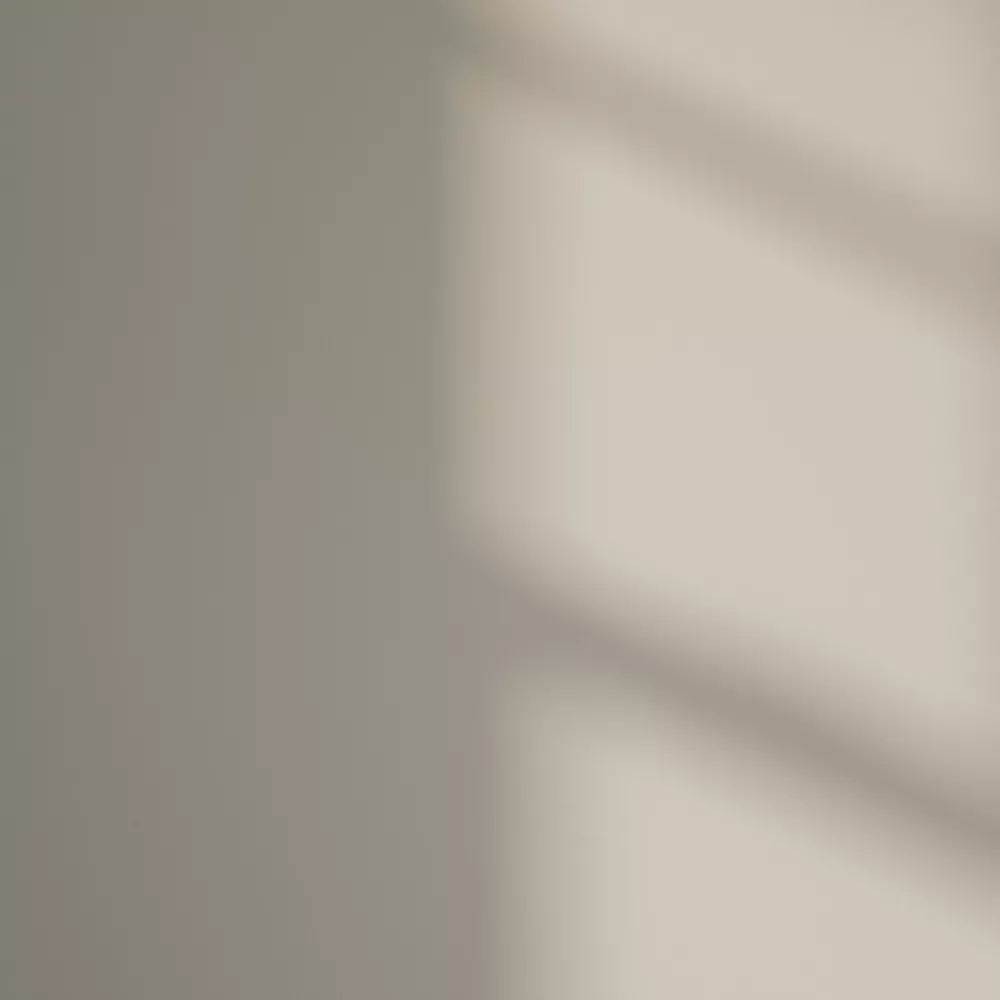 LickPro Matt Beige 04 Emulsion Paint 2.5Ltr - Image 3