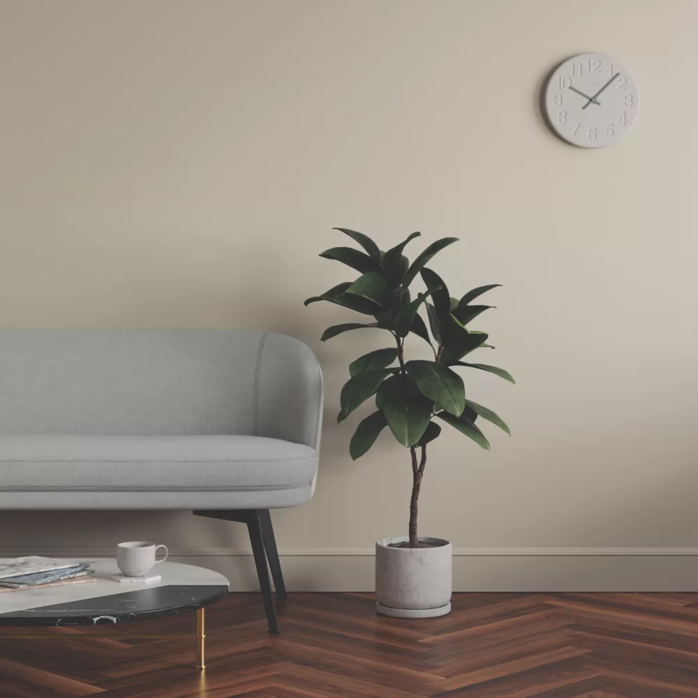 LickPro Matt Beige 04 Emulsion Paint 2.5Ltr - Image 6