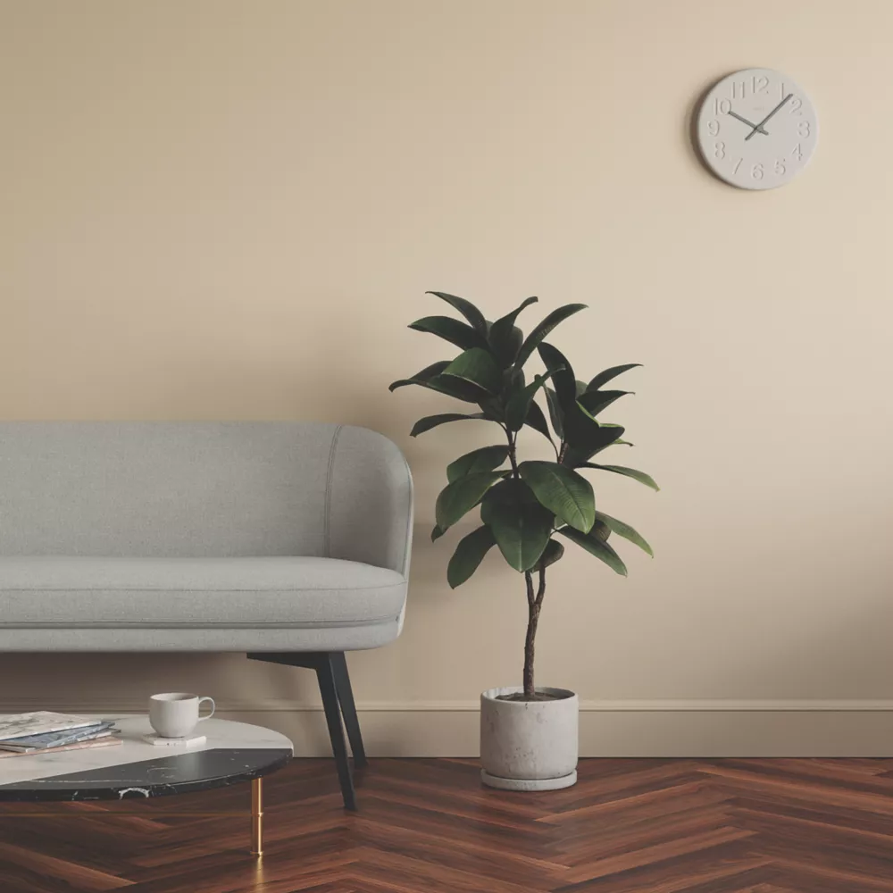 LickPro Matt Beige 01 Emulsion Paint 5Ltr - Image 6