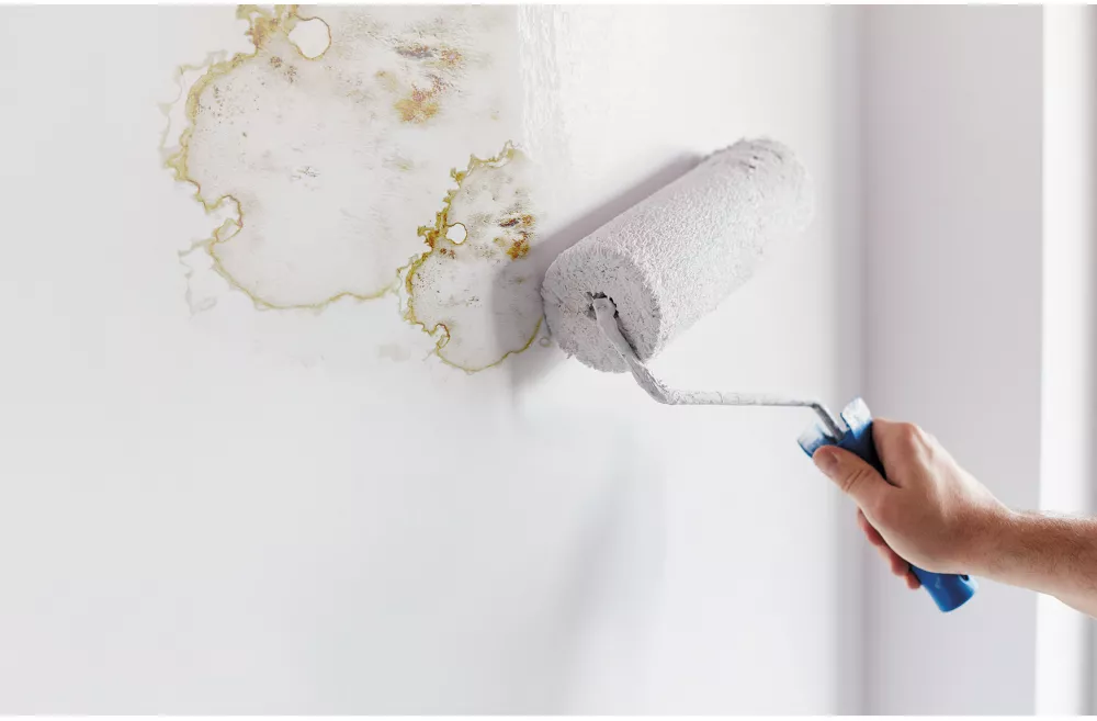 Ronseal Anti Mould Paint Matt White 2.5Ltr - Image 4