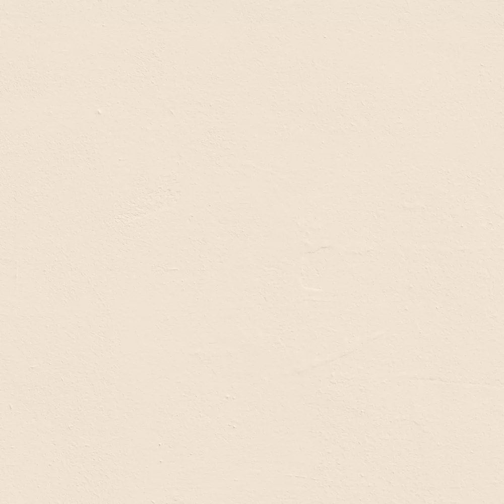 LickPro Matt White BS 08 B 15 Emulsion Paint 2.5Ltr - Image 2