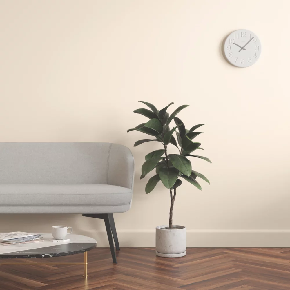 LickPro Matt White BS 08 B 15 Emulsion Paint 2.5Ltr - Image 6