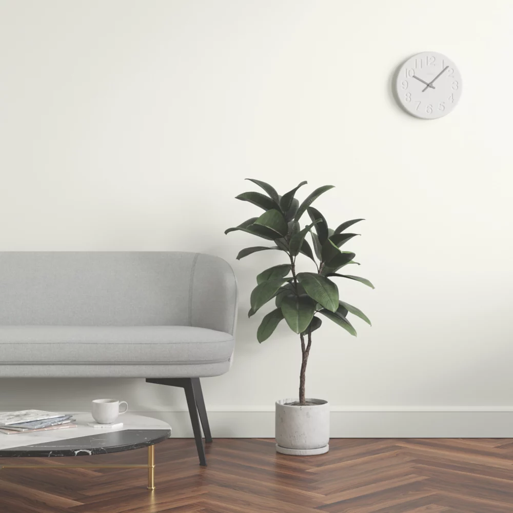 LickPro Eggshell Taupe 02 Emulsion Paint 2.5Ltr - Image 6