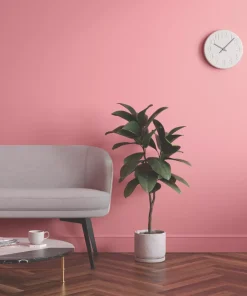 LickPro Matt Pink 12 Emulsion Paint 5Ltr 13 LickPro Matt Pink 12 Emulsion Paint 5Ltr -Lick Sales Shop 907JY A5