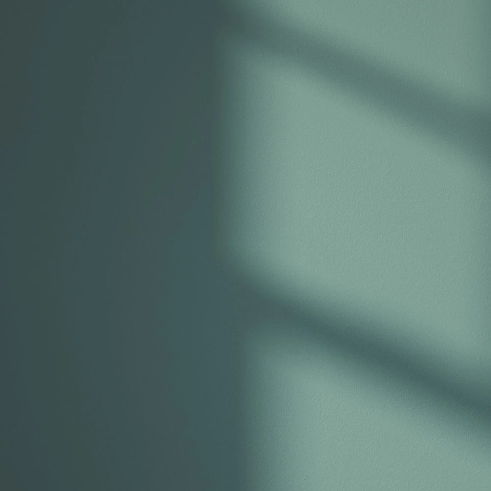 LickPro Eggshell Green 04 Emulsion Paint 2.5Ltr - Image 3