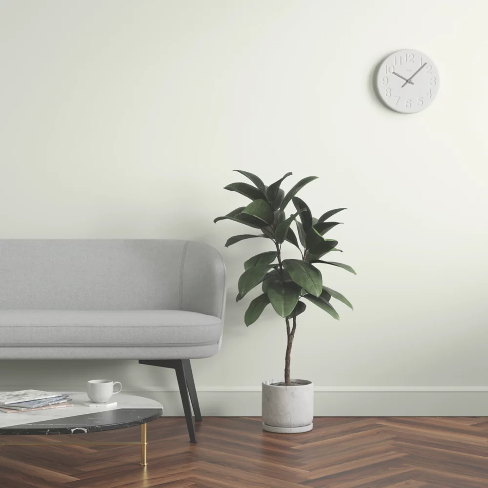 LickPro Matt Grey RAL 9002 Emulsion Paint 5Ltr - Image 6